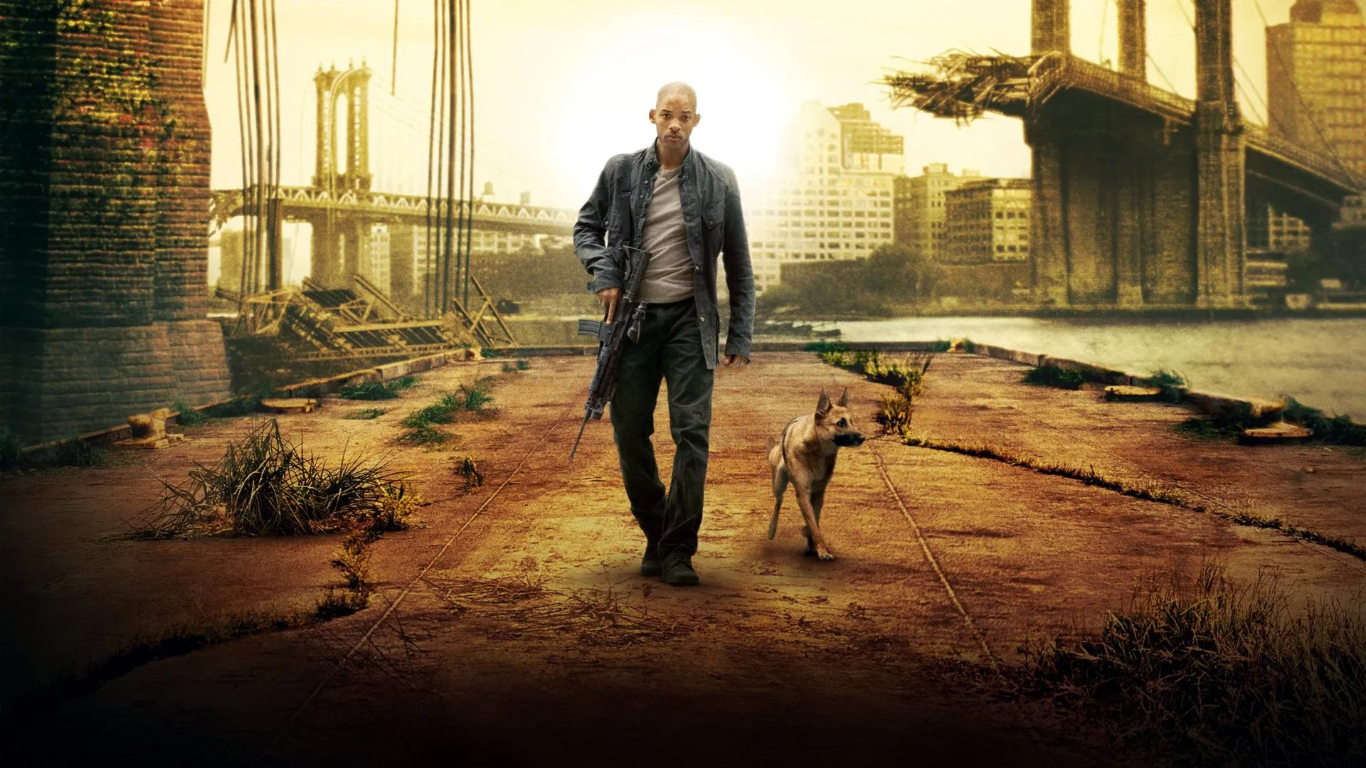 Bagaimana Kelanjutan Nasib Robert Neville? Review Film I Am Legend 2 yang Dinanti Penggemar